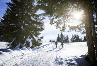 Activités d’hiver en Sud-Tyrol