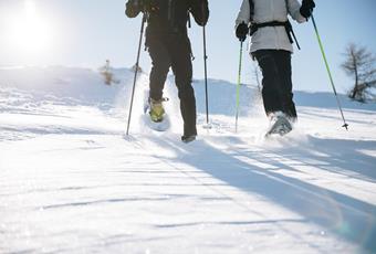 Snowshoe & winter hiking